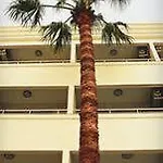 Couette-café Banu Luxury Marmaris